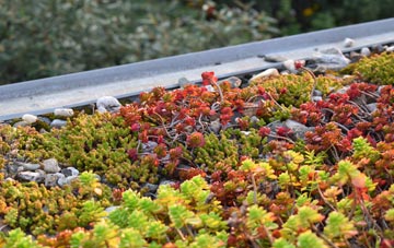 the cost of Berrylands green roof installation