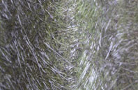 Berrylands fibreglass roof work